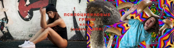 трава Осташков
