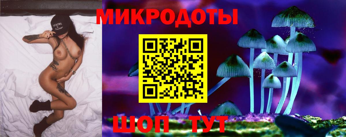 Галлюциногенные грибы мухоморы Зима
