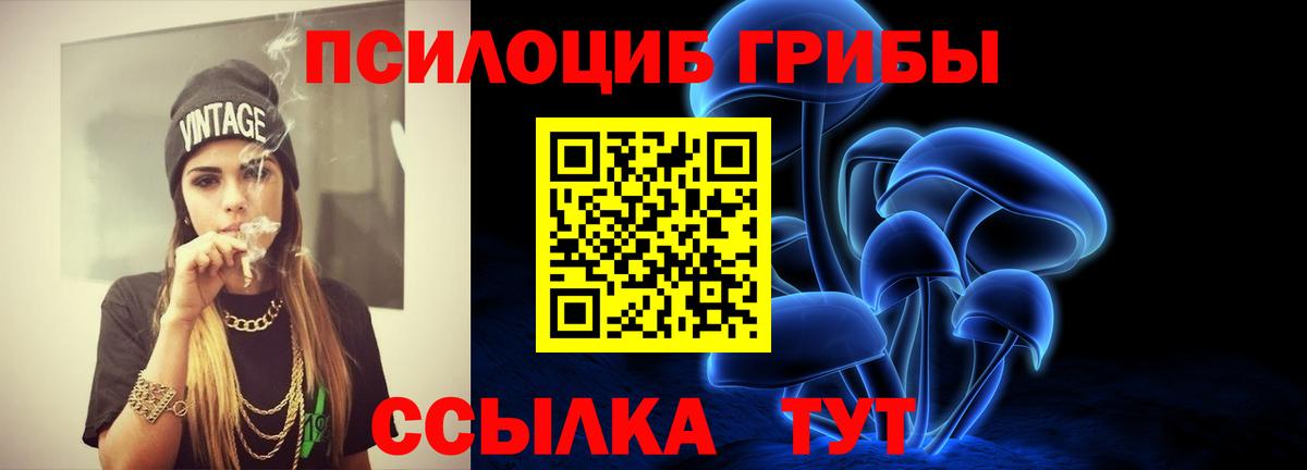Галлюциногенные грибы GOLDEN TEACHER  Вход с VPN  купить наркотики сайты  Зима 